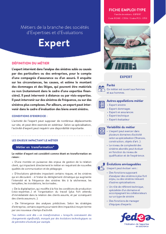 Fiche métier:  Expert