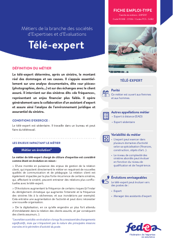 Fiche métier:  Télé-expert